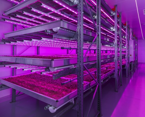 Indoor vertical farming led