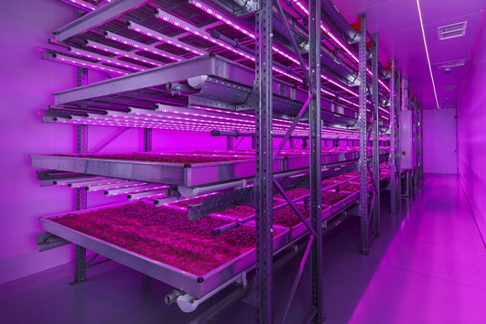 Indoor vertical farming led